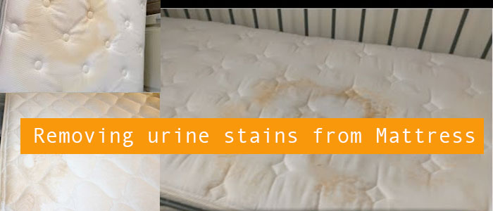 Removing urine stains from Mattress