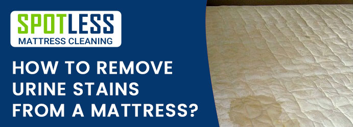 How to remove urine stains from a mattress? | Spotless ...