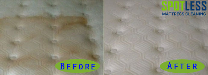 https://spotlessmattresscleaning.com.au/wp-content/uploads/2019/01/Urine-Stain-Removal-From-Mattress1.jpg
