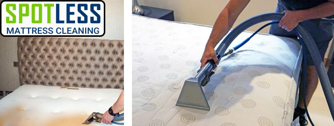 Professional Mattress Cleaning Service