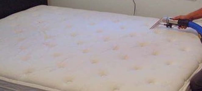 Expert Mattress Cleaning Service